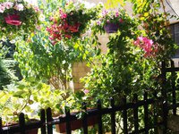 Innergård på Rhodos